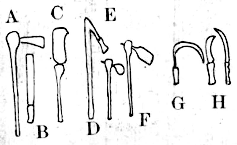 Instruments de la campagne agricole